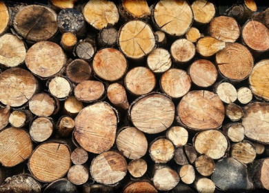 Как хранить дрова?