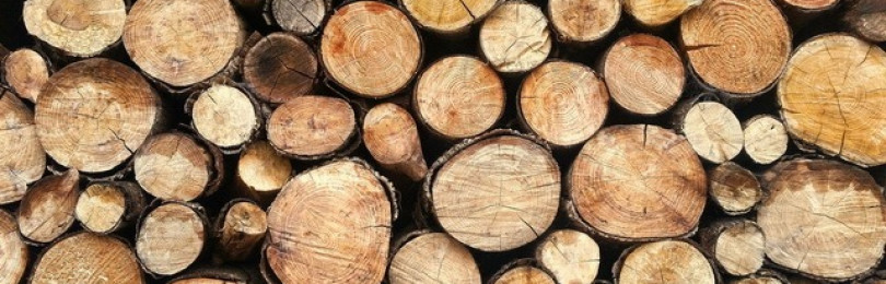 Как хранить дрова?