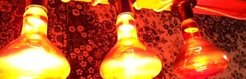 Инфракрасная лампа для обогрева: виды, как работает