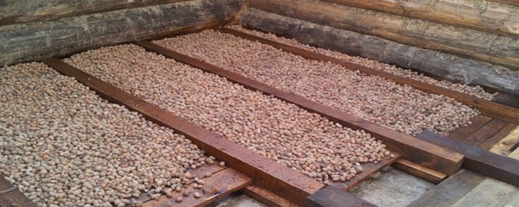 Утеплитель для чердака керамзитом. Керамзит для утепления потолка в бане. Керамзитный утеплитель. Бпр120 засыпка керамзитом. Керамзит теплоизоляция потолок бани.